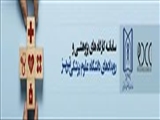 ارائه مشاوره پژوهشی رایگان- RDCC