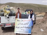 معدوم سازی 950 کیلو گرم مواد غذایی غیر قابل مصرف