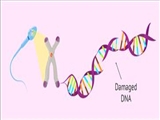 دستورالعملهای بالینی وزارت 1403- شناسنامه و استاندارد خدمت Assessment of Sperm DNA Fragmentation Index (damage) (SDFI)