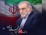 شهید محسن فخری زاده