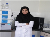 Congratulations to Dr.Maryam Hamzeh Mivehroud for promotion to 